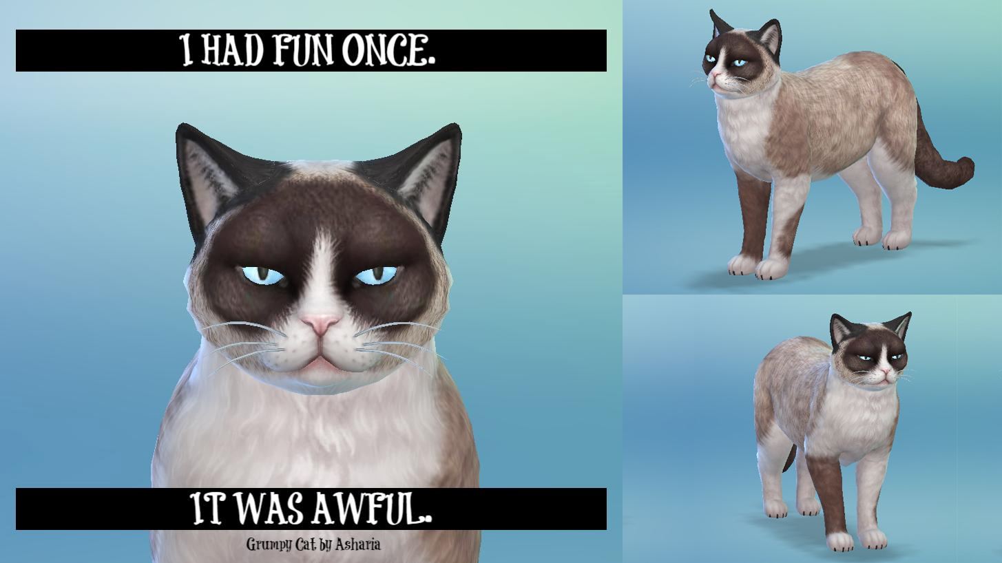 The Sims Community Grumpy Cat